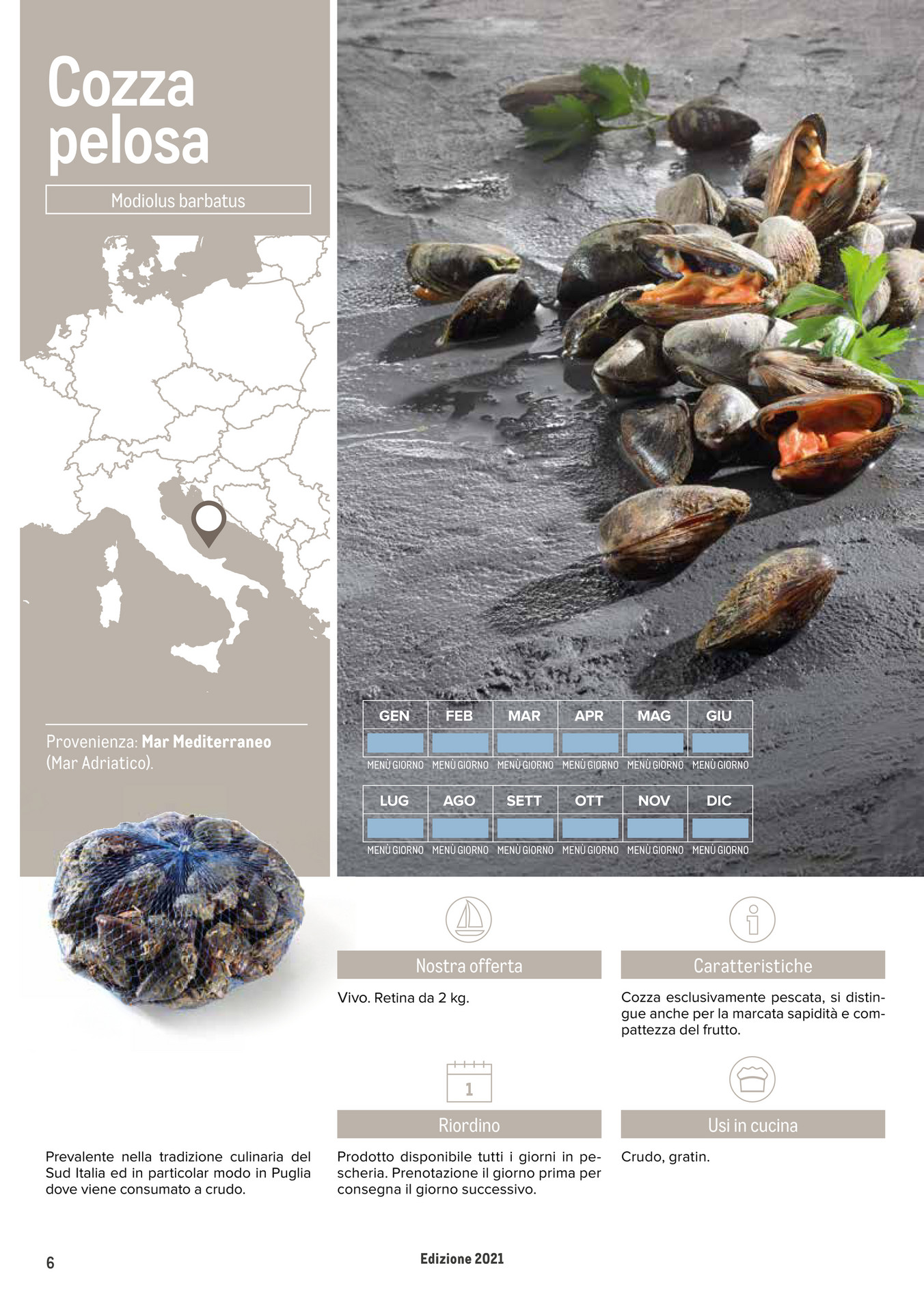 Cozza Pelosa O Modiola Hellofish